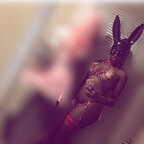 DemandingDoll avatar