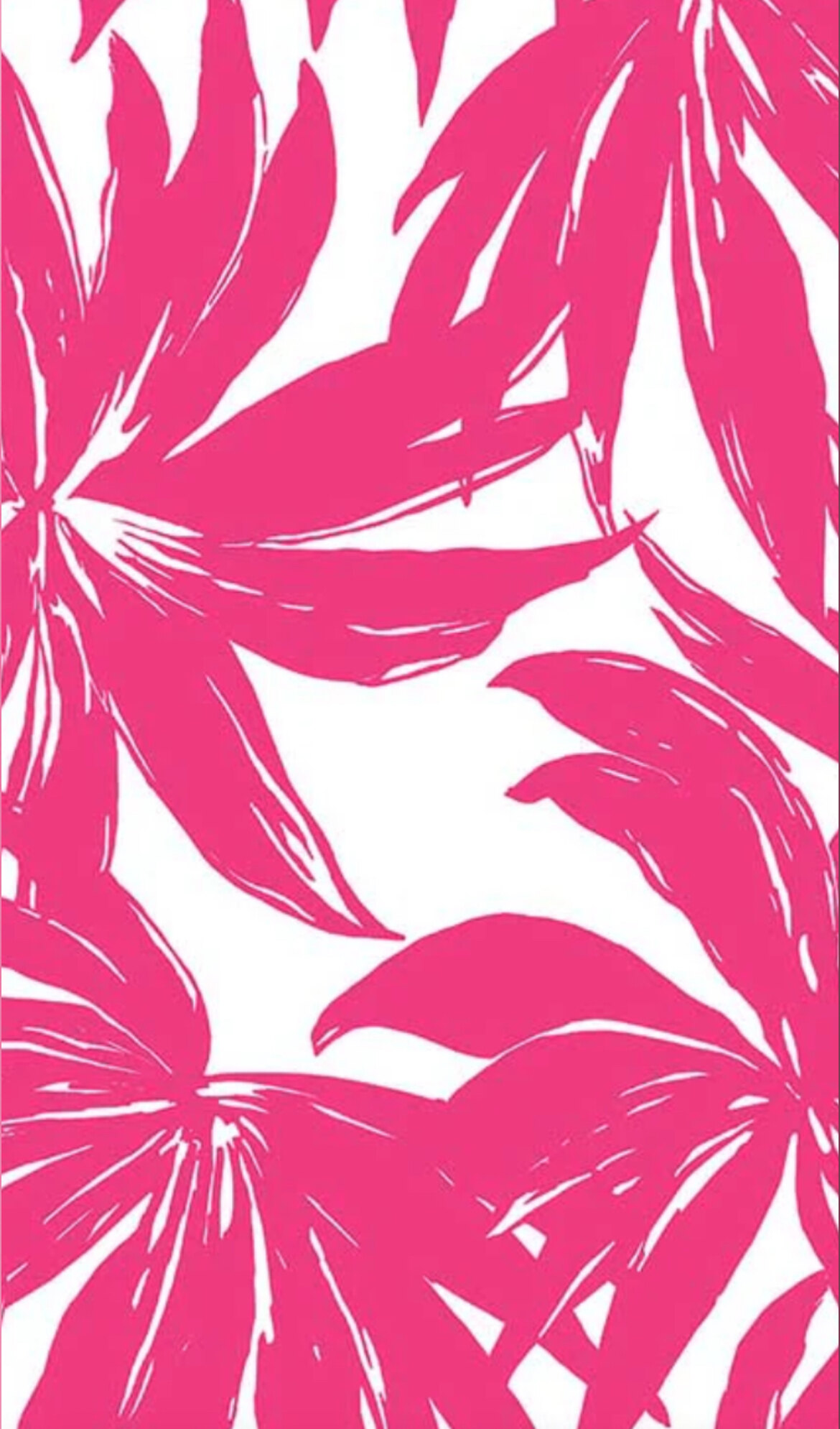 Valentina Pardo banner image