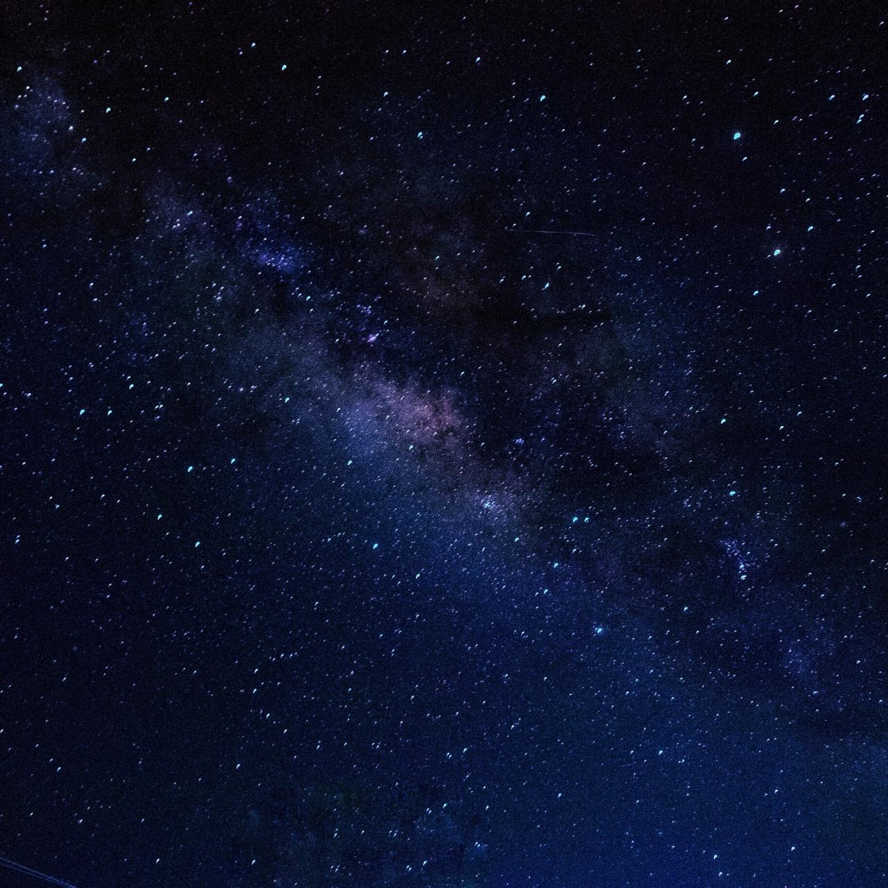 Iris Guzman banner image