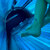 My_cute_feets avatar