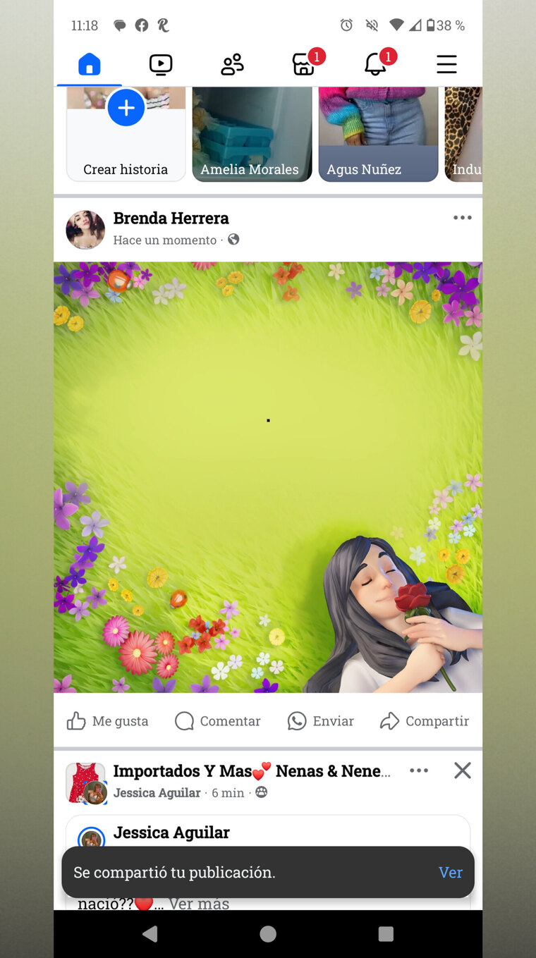 Brenda Burgos banner image