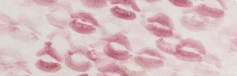 SugaCream banner image