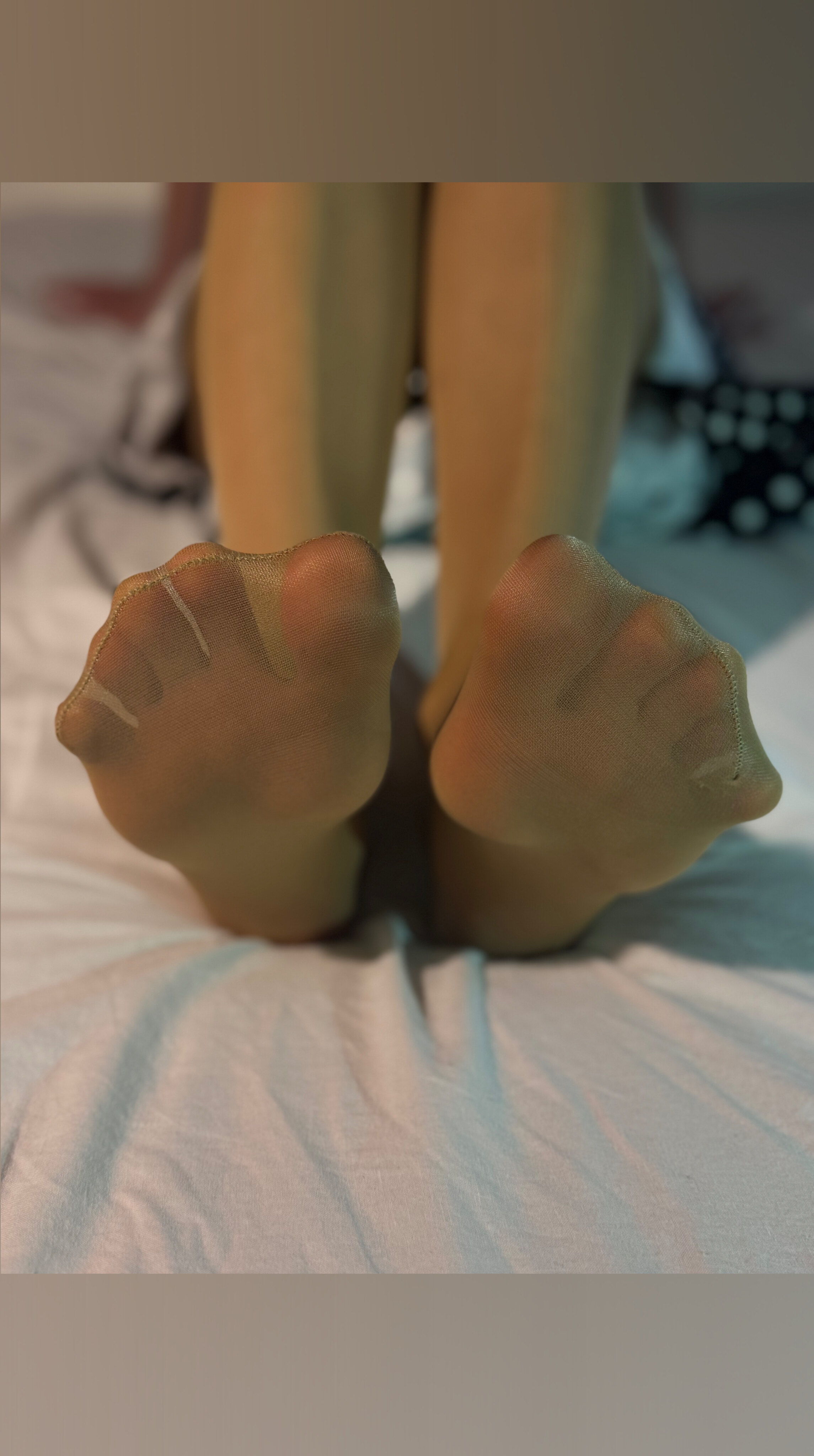 Sandra J banner image