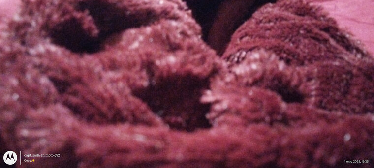 Cicely cover image