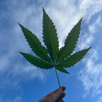 u497336051 avatar
