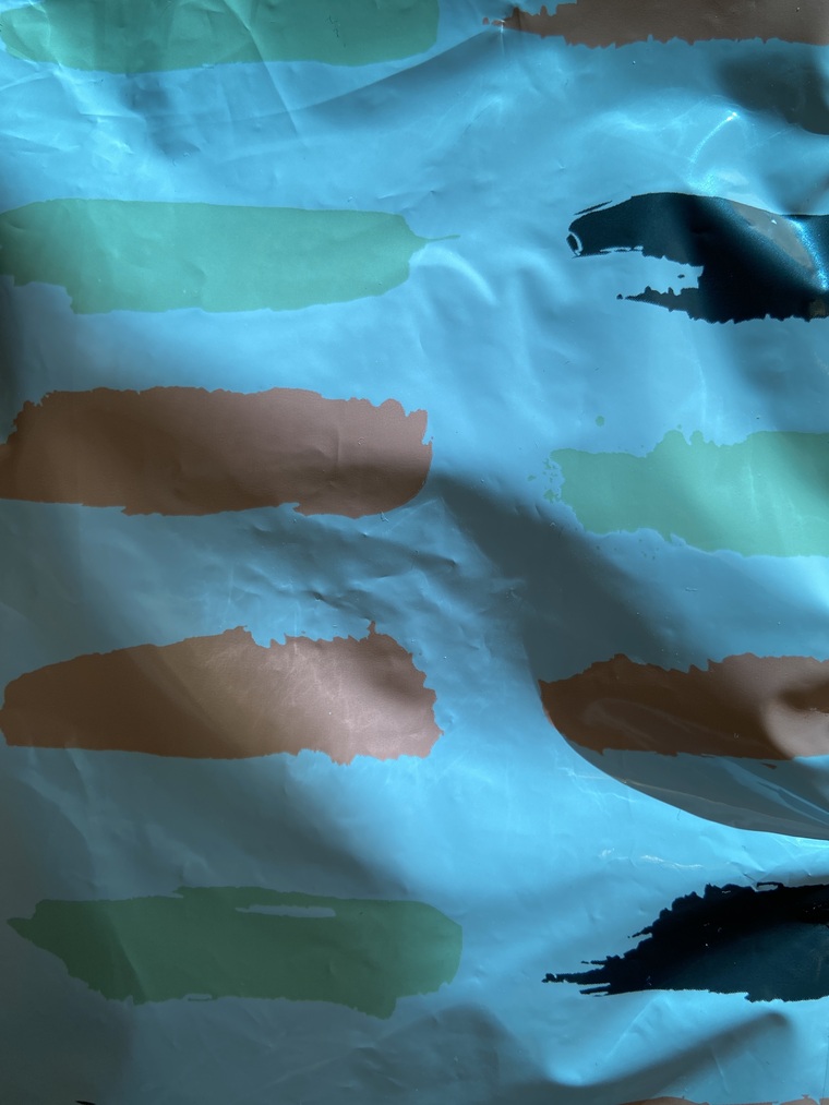 Camila cover image