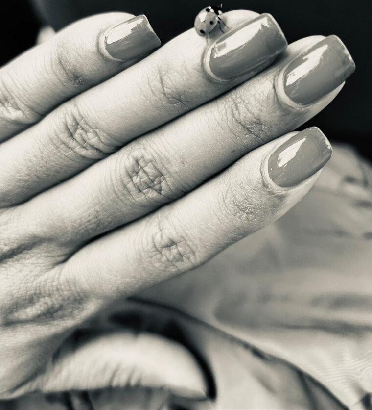 LadyFingers cover image