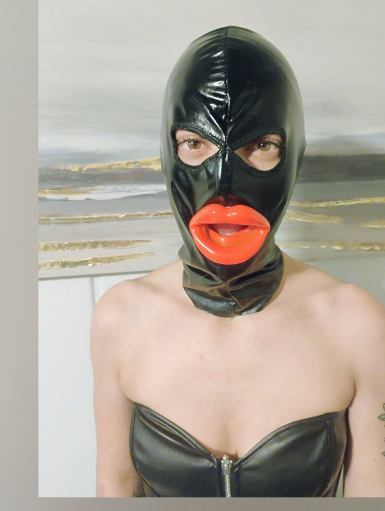 Masked Vixen cover image
