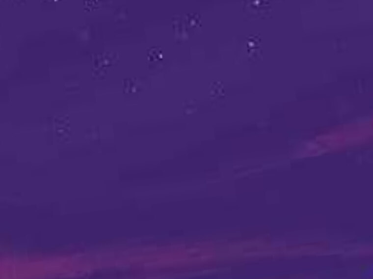 pau cover image