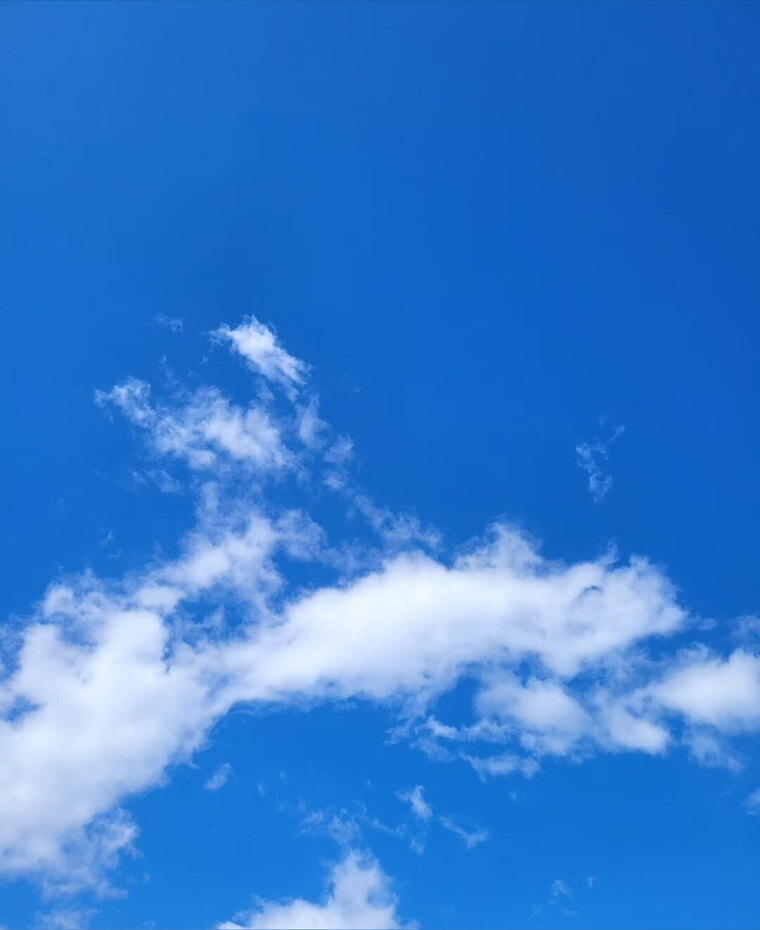 Aye banner image