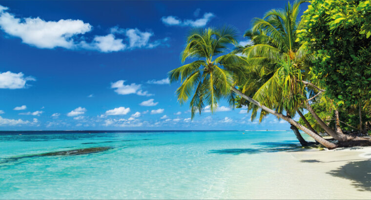 u505144916 cover image