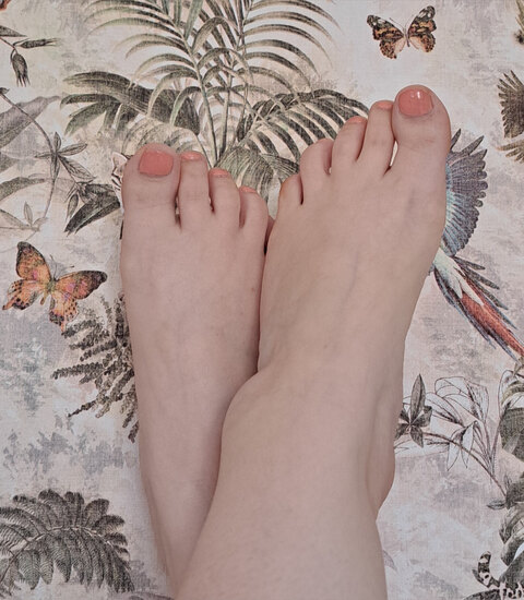 Lilly May cover image