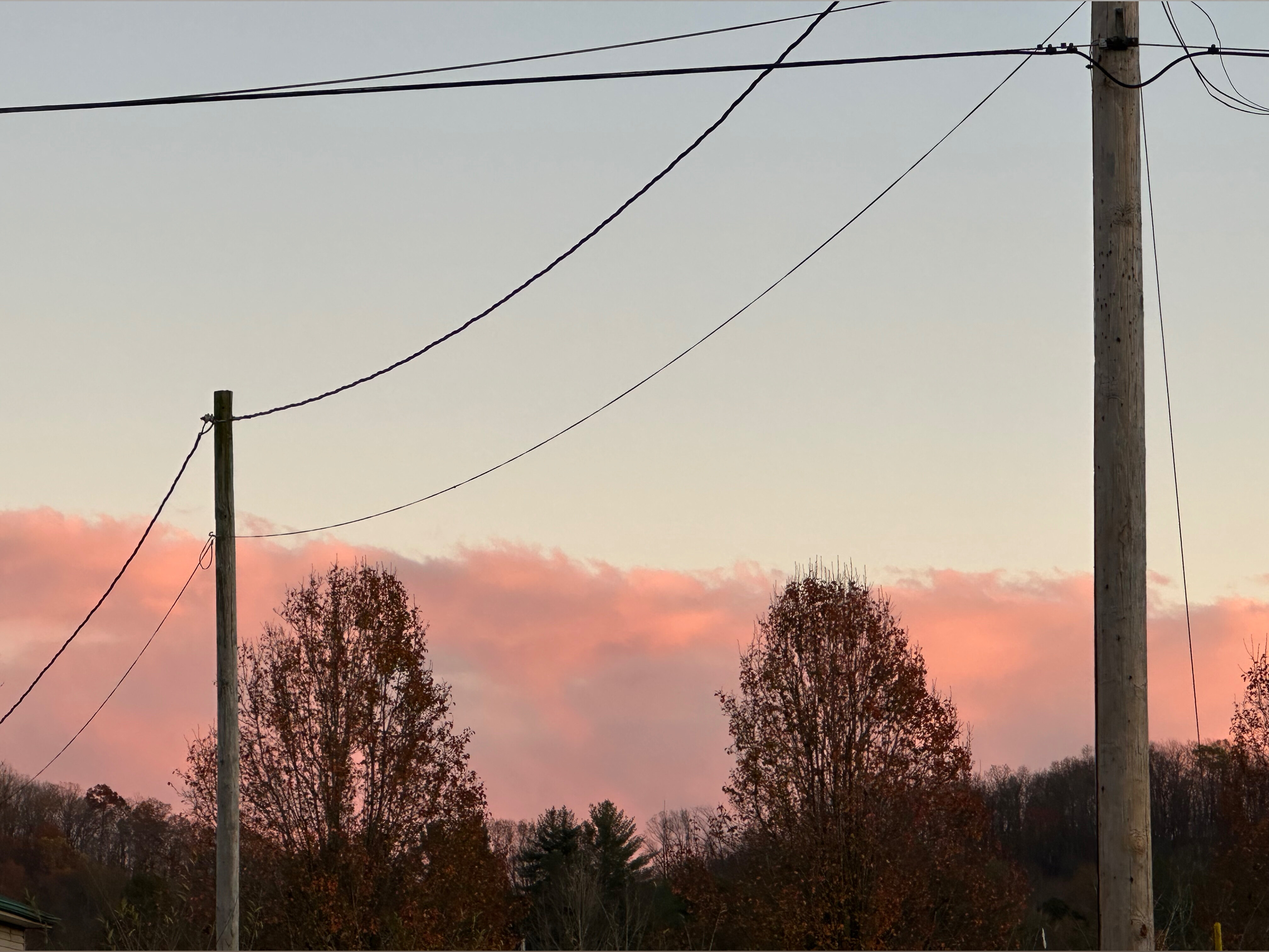 ShawtyBae banner image