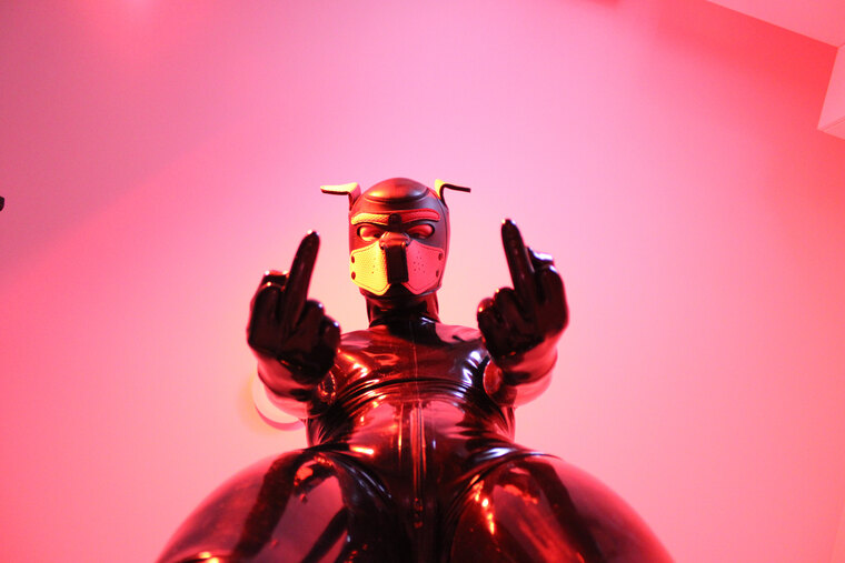 Yourcomesubpuppy cover image