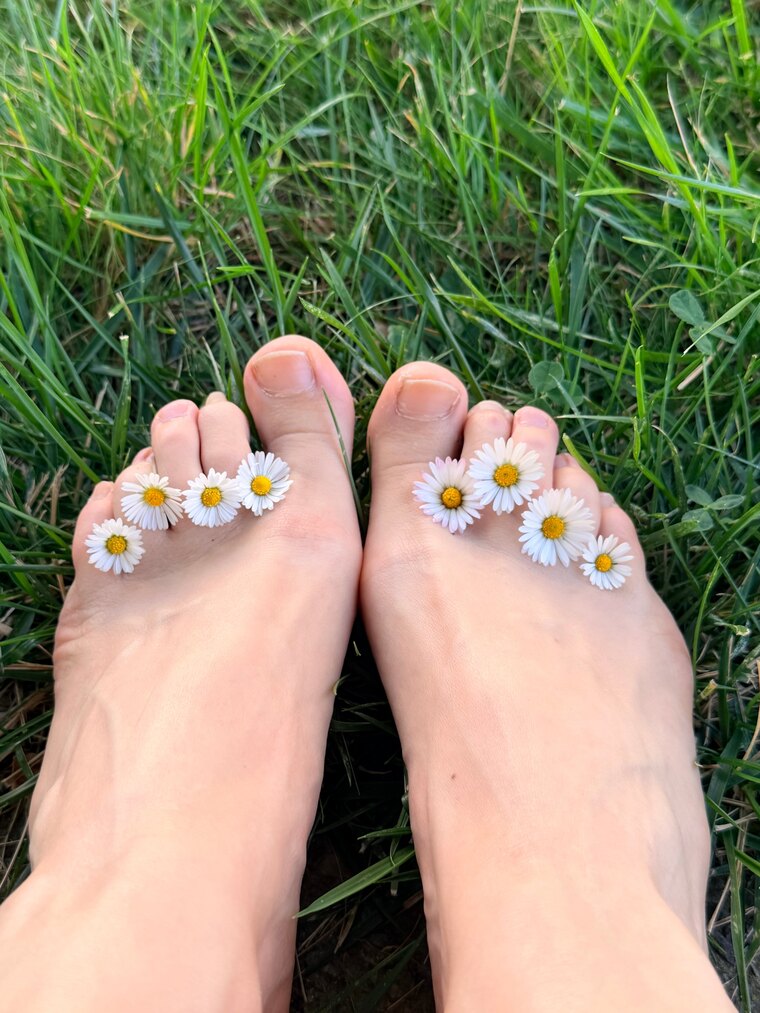 HammerToesQueen cover image