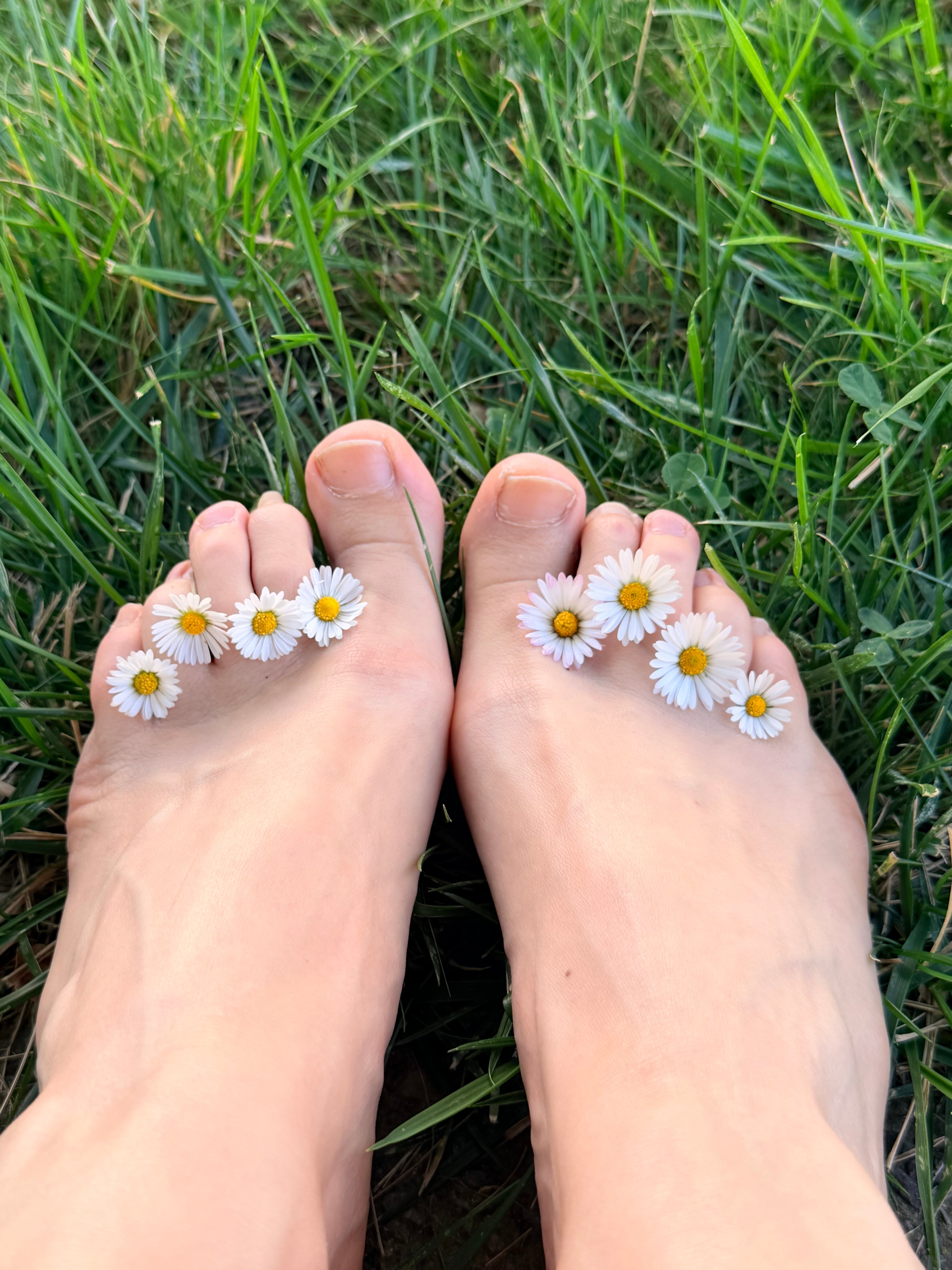 HammerToesQueen banner image