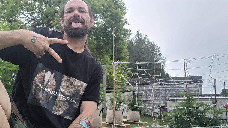 Ryan Chandler cover image