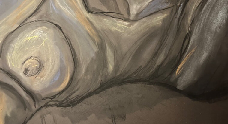 Feral Muse cover image