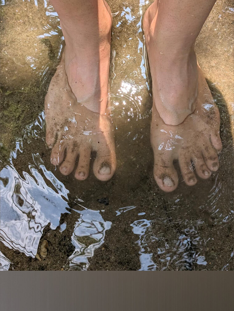 Mommy Toes banner image