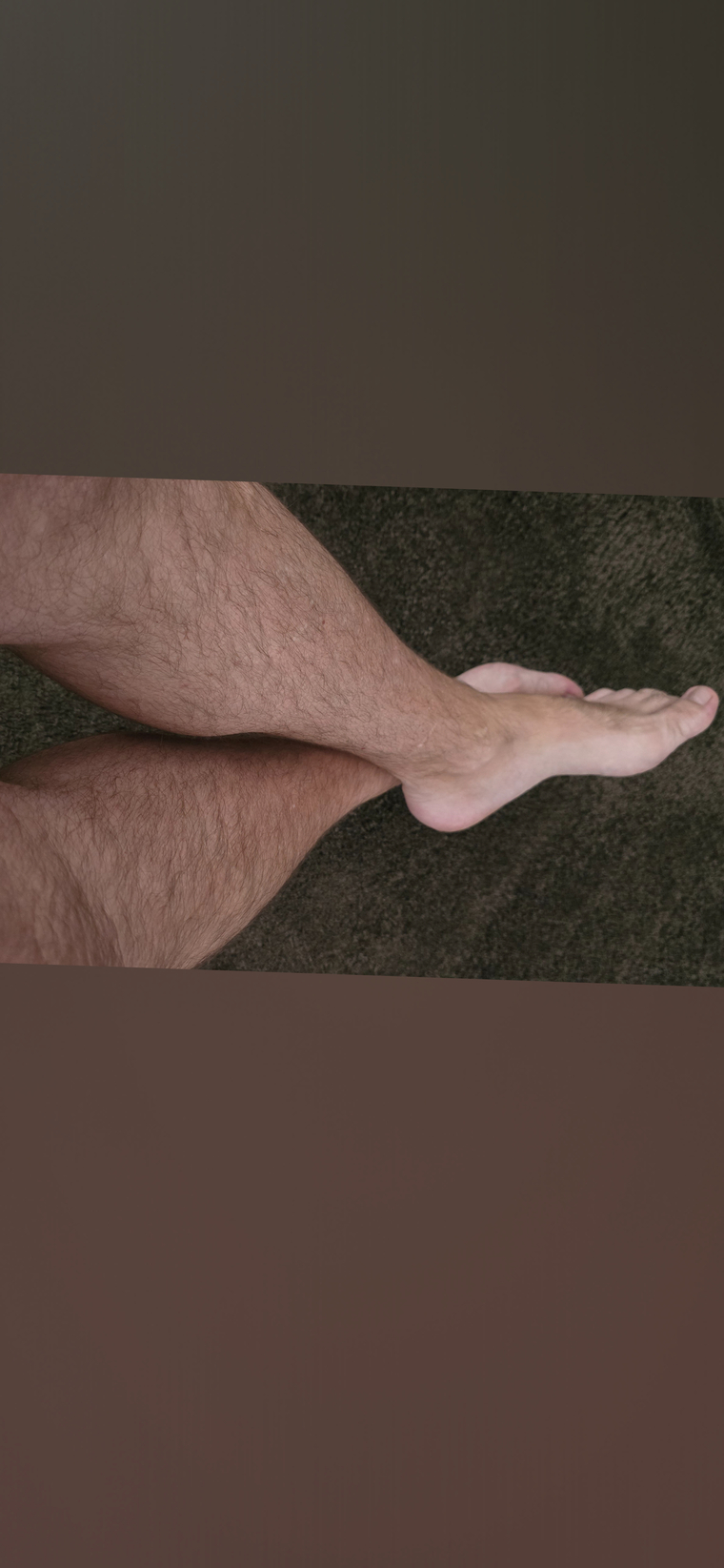AssNToes cover image