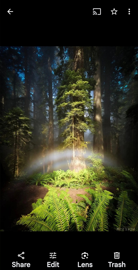 Lisa Deloury cover image