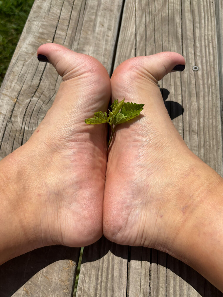SinfulTatsAndToes cover image