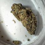 GanjaCoins avatar