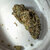 GanjaCoins avatar