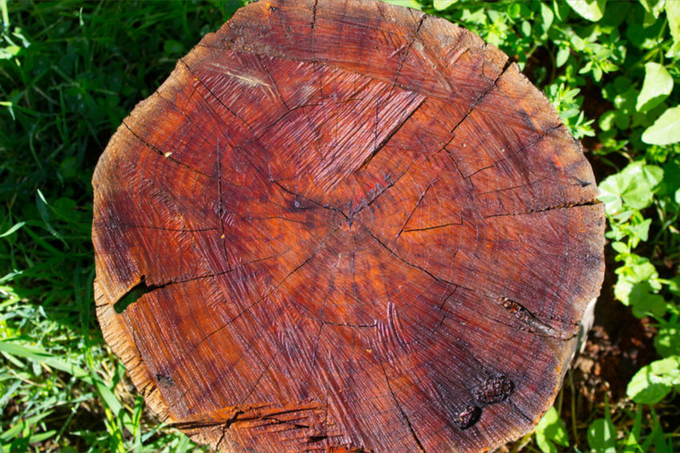 Mahoganymom cover image