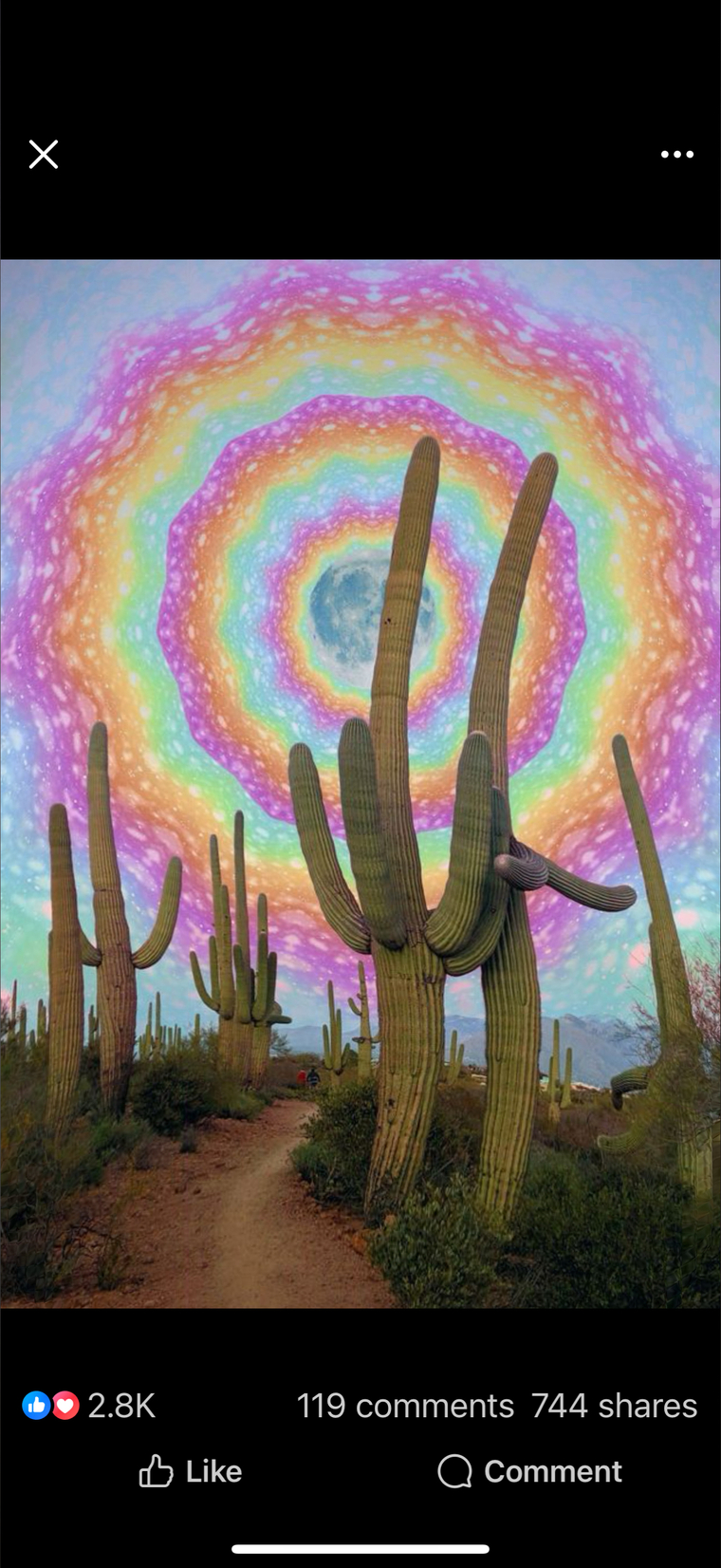 Rachaelx1983 cover image