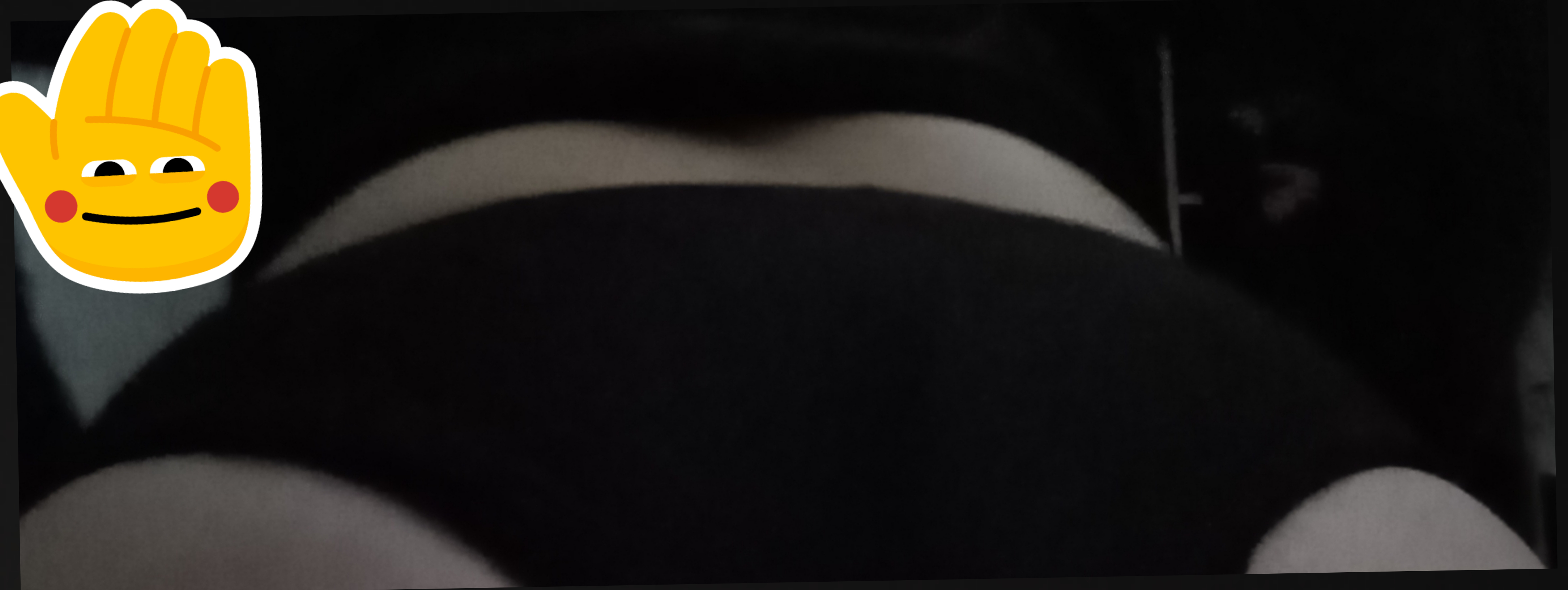 Catalina banner image