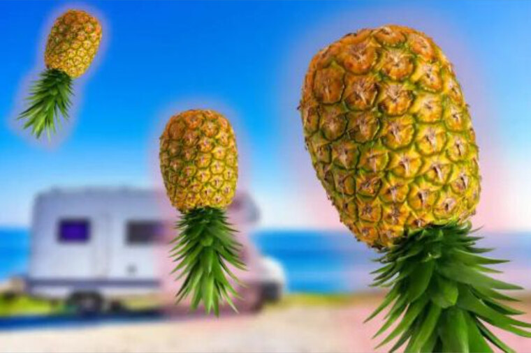 Fun4t_s banner image