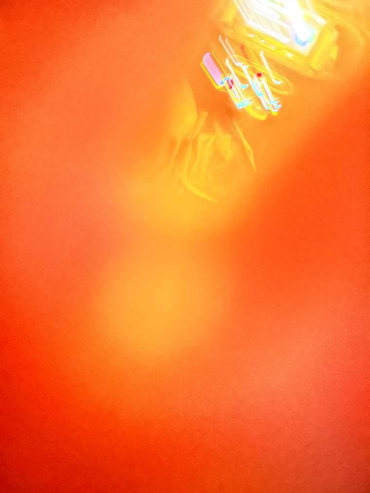 Pau cover image