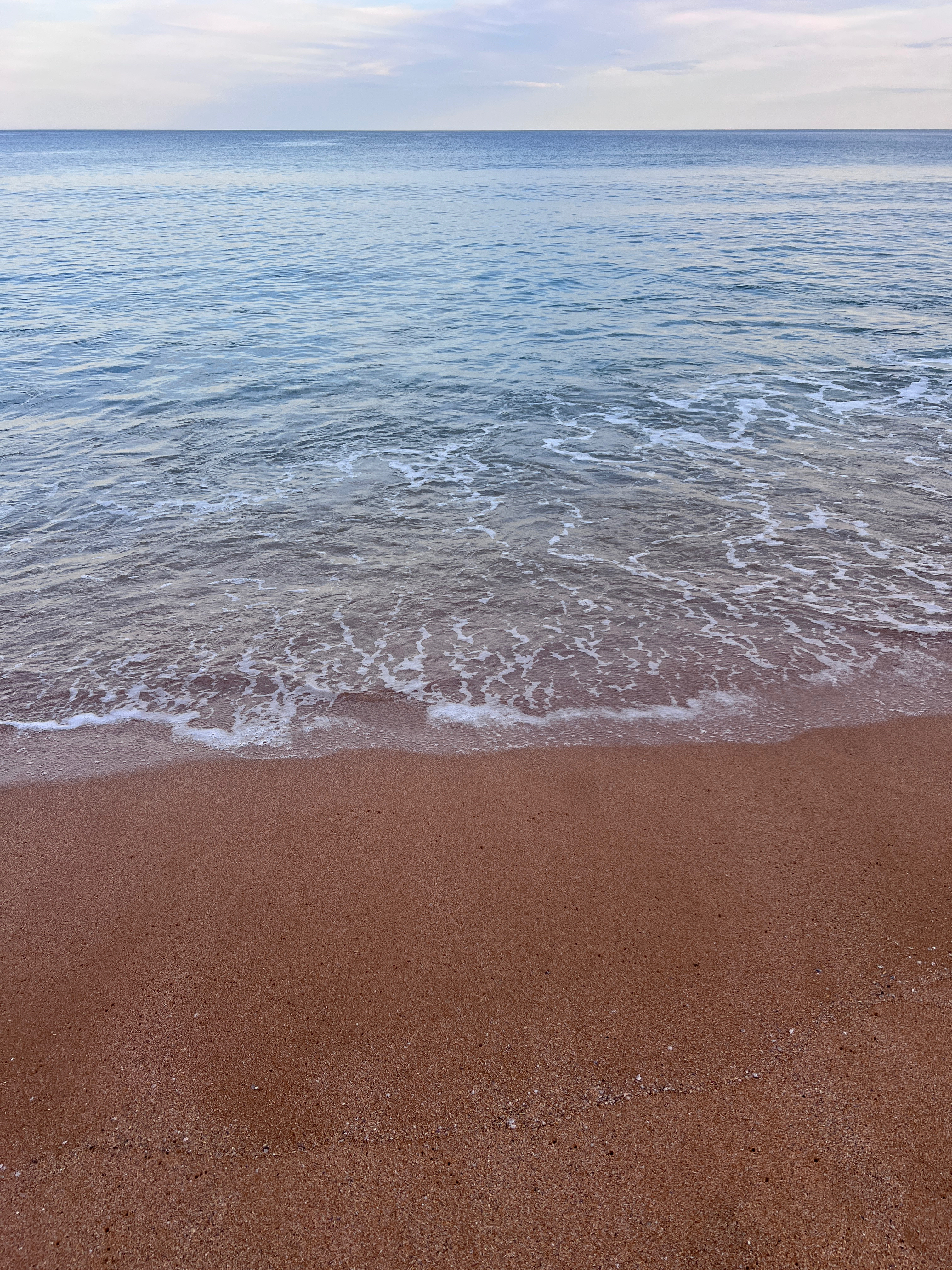 Rosie Pink Toes banner image