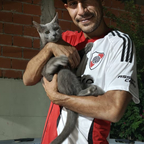 Rodrigo Alejandro Zabala avatar