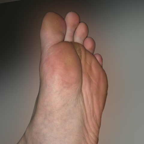 Jack's Sole cover image