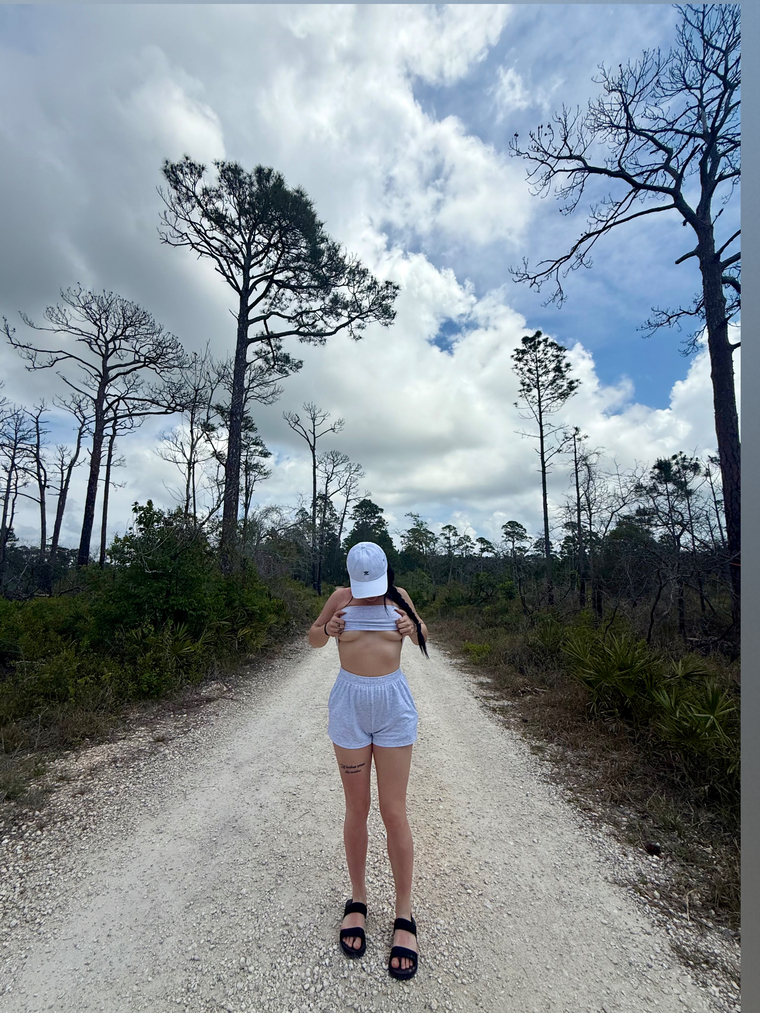 Bree banner image