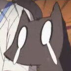 CatOfTheDay avatar