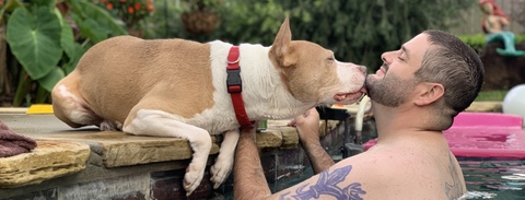 Lee cover image