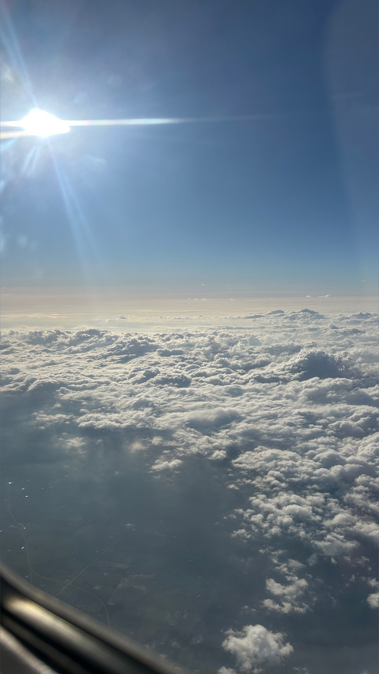 MT cover image