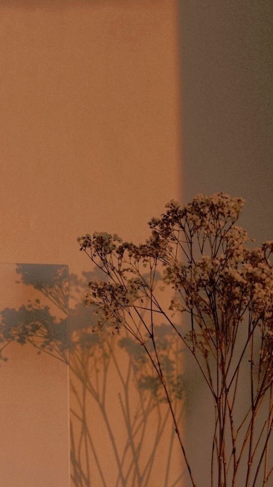 Alessia Rouge banner image