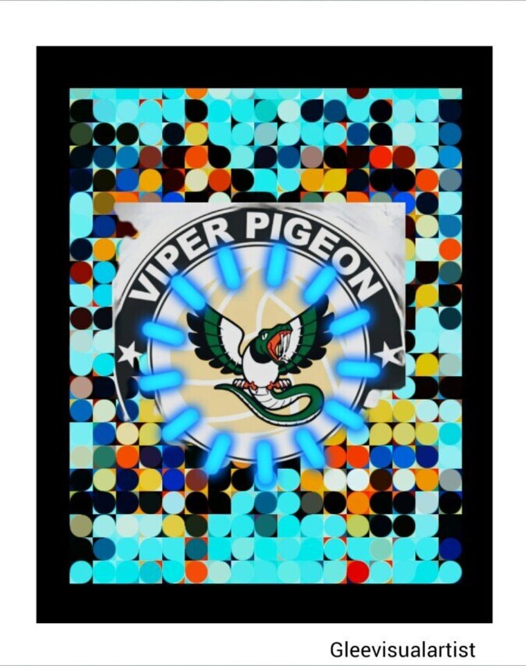 viperpigeon99 banner image