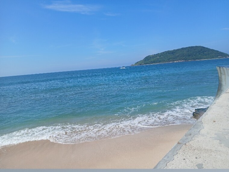 Yoss cover image