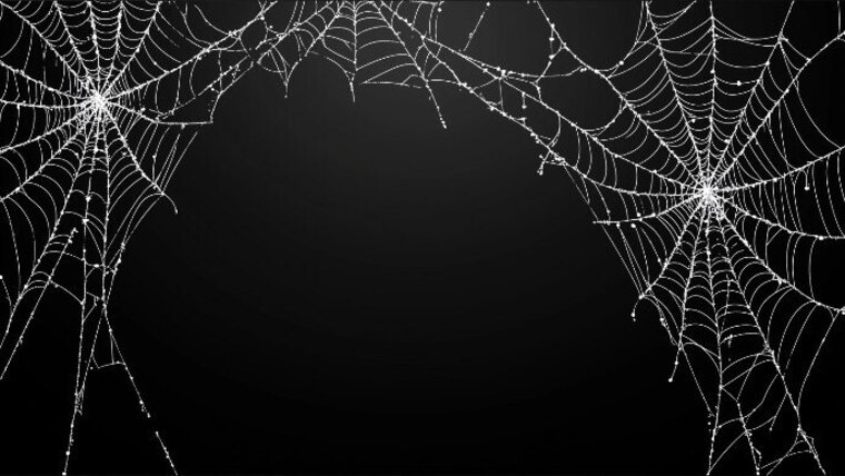 Carrbaby cover image