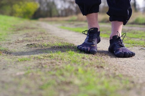 WanderSoles cover image