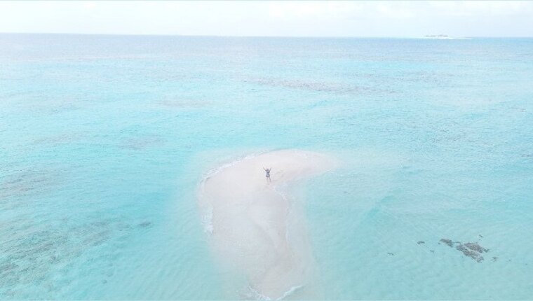 Velvet banner image