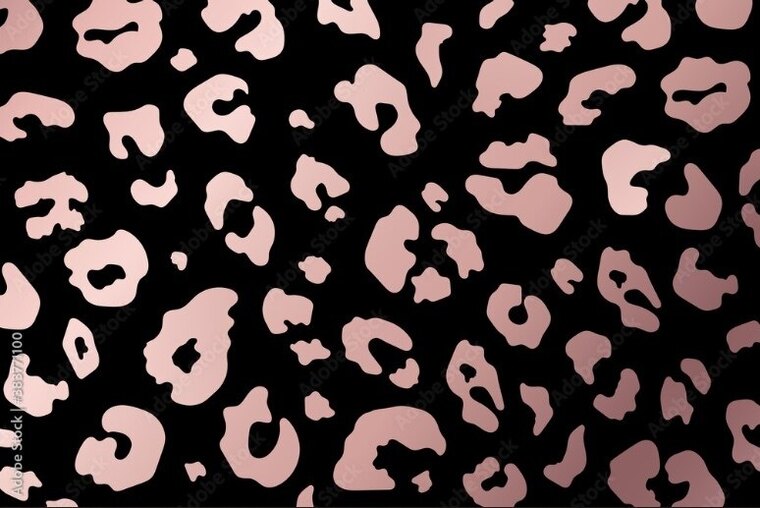 amanda cover image