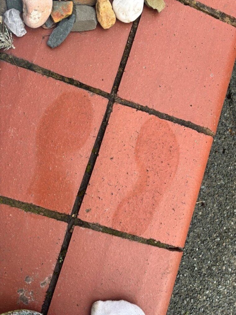 WellWornMiles cover image