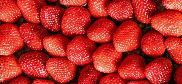 TheSweetSecracy banner image