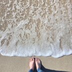 Traveltoes avatar
